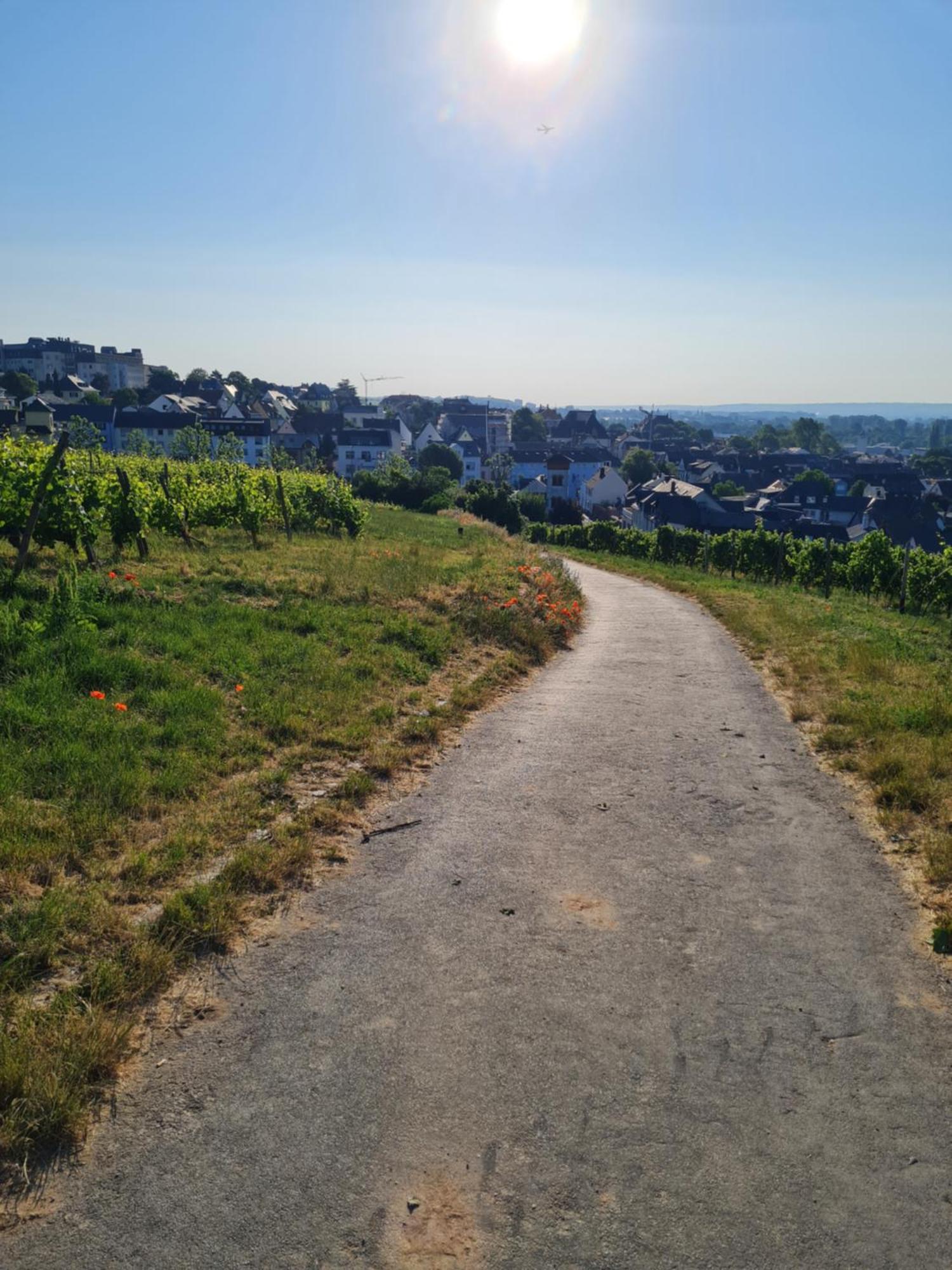 Ferienwohnungen Am Markt Rüdesheim am Rhein Exterior foto